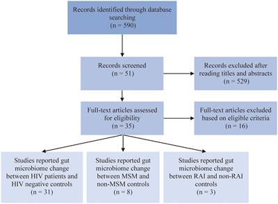 Gut microbiome dysbiosis in men who have sex with men increases HIV infection risk through immunity homeostasis alteration